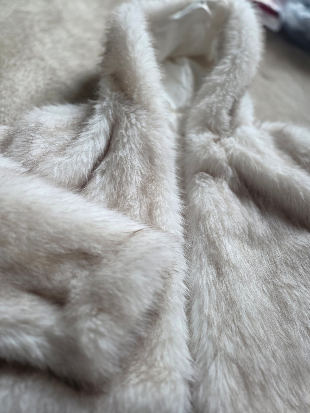 Frosted mink faux fur hooded Jacket