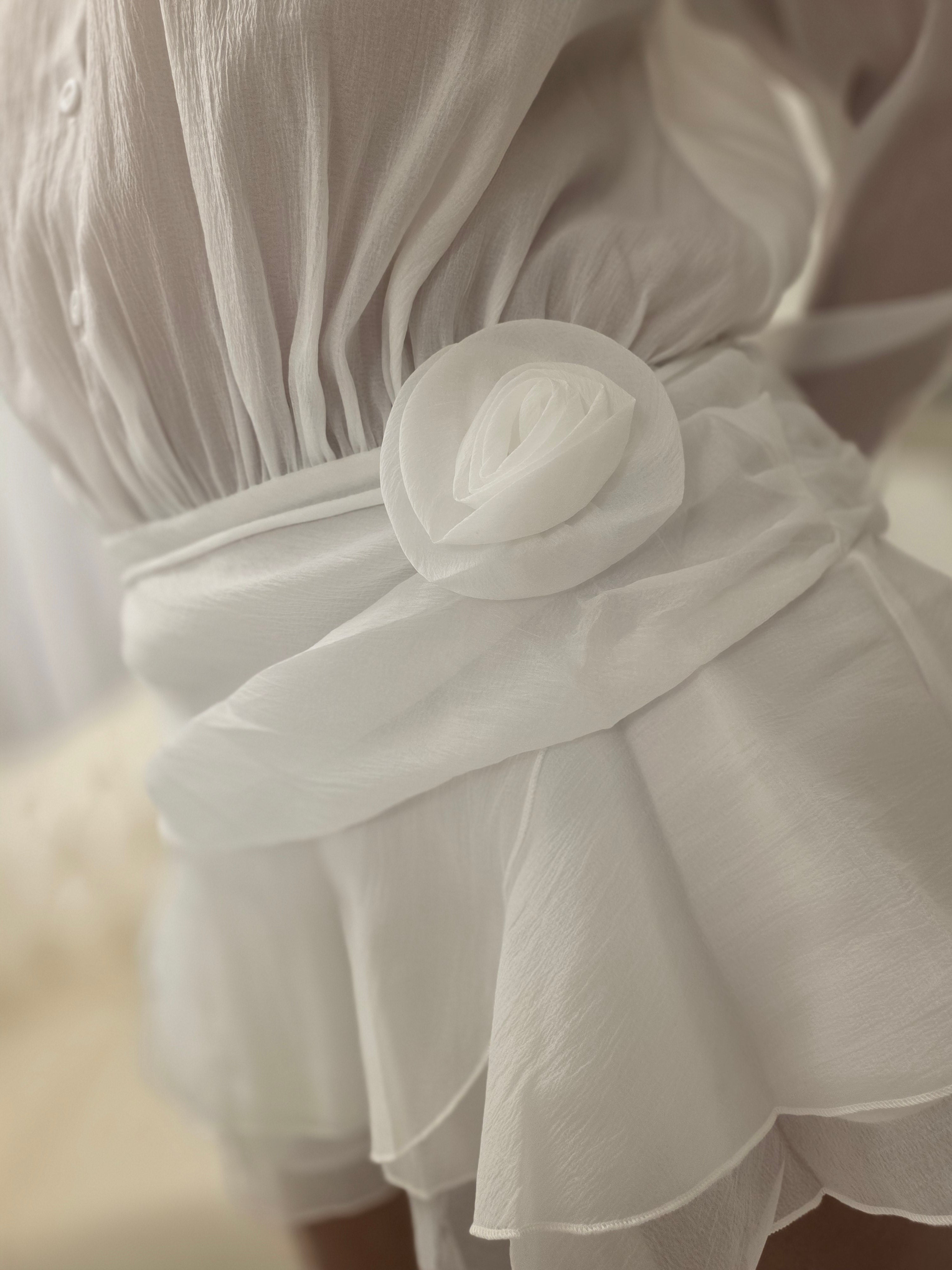 Cara Rose Chiffon dress