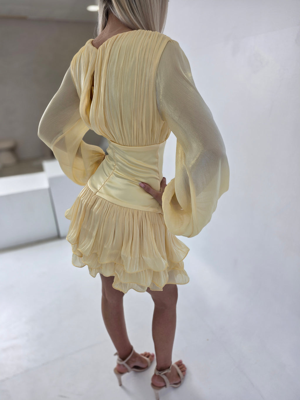 Rosette Corset Mini Dress